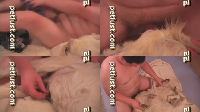 Showing porn images for petlust goat sex man fuck porn
