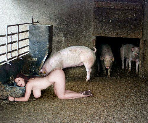 Bdsm fetish fuck pig slave