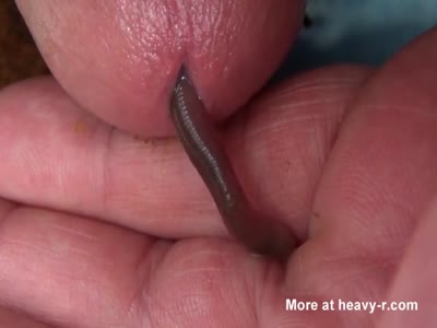 Woman inserting worms in pussy videos free porn videos